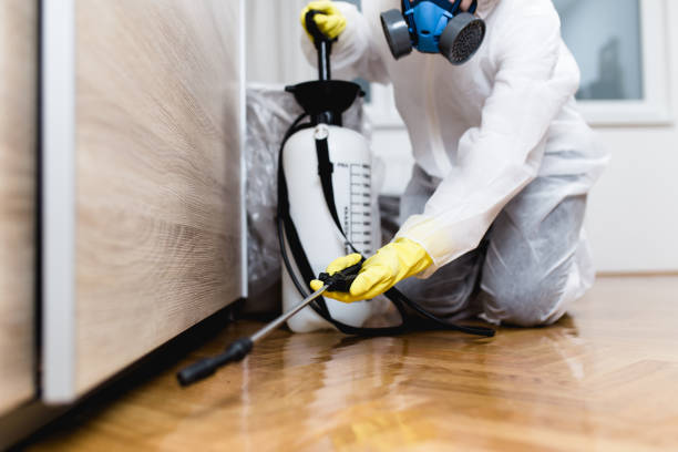 Best Commercial Pest Control Services  in Siesta Acres, TX