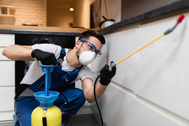Pest Control Cost in Siesta Acres, TX