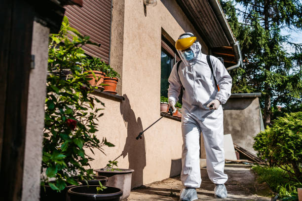 Best Bed Bug Extermination  in Siesta Acres, TX