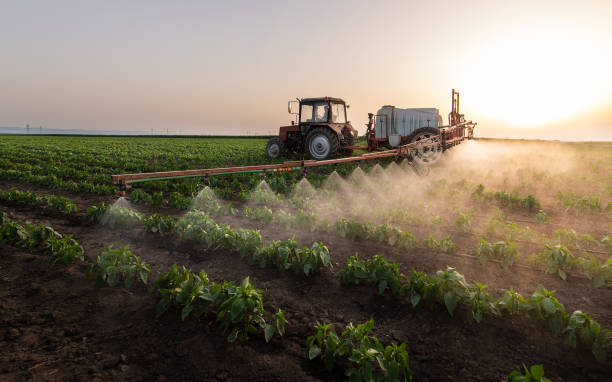 Best Best Pest Control Companies  in Siesta Acres, TX