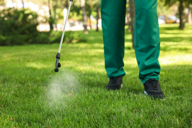 Best Bed Bug Extermination  in Siesta Acres, TX