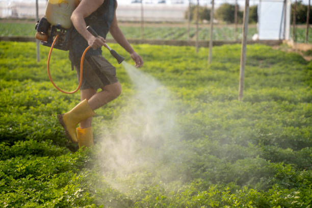 Trusted Siesta Acres, TX Pest Control Experts