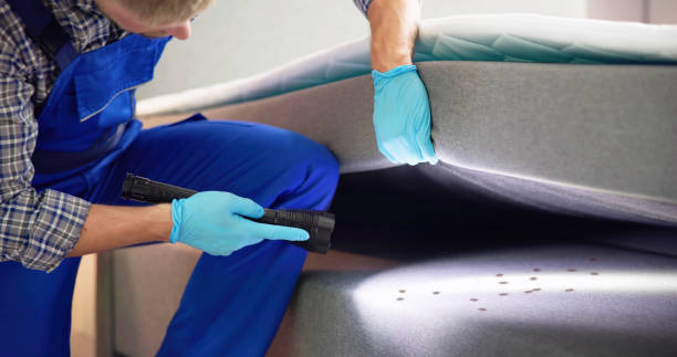 Best Cockroach Control Services  in Siesta Acres, TX