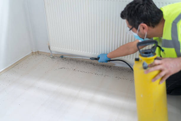 Best Pest Control Near Me  in Siesta Acres, TX