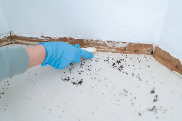 Best Pest Control Cost  in Siesta Acres, TX